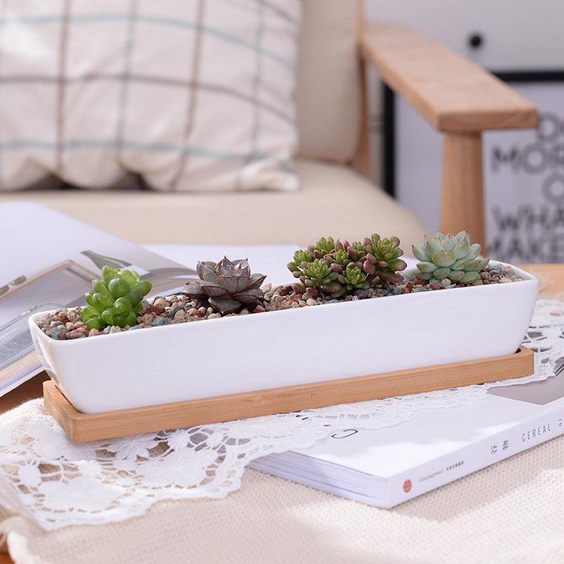 Desk Setup Green - Long Rectangle White Ceramic Succulent Planter