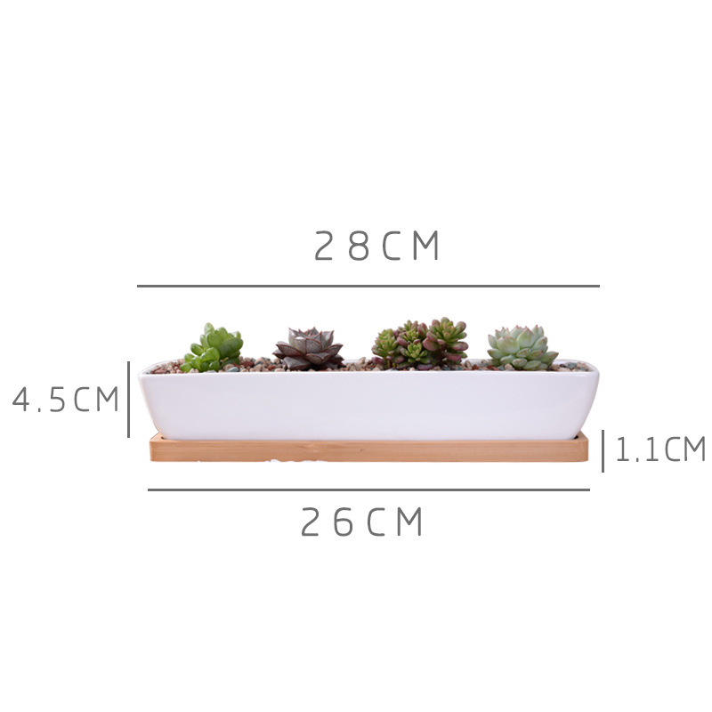 Long Rectangle White Ceramic S - Desk Setup Green 评论和价格