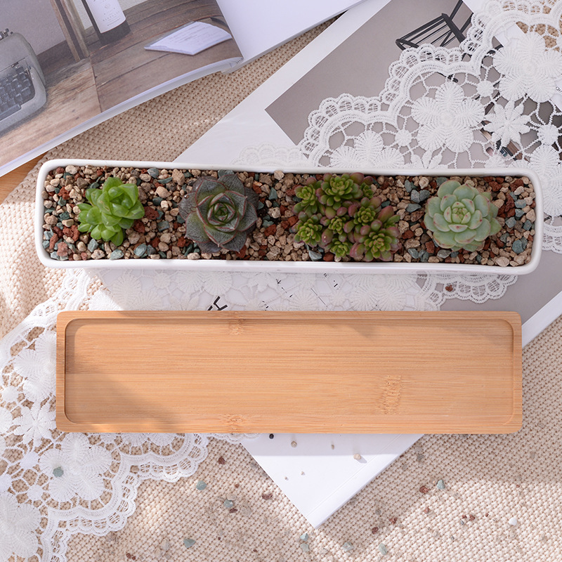 Long Rectangle White Ceramic S - Desk Setup Green 评论和价格